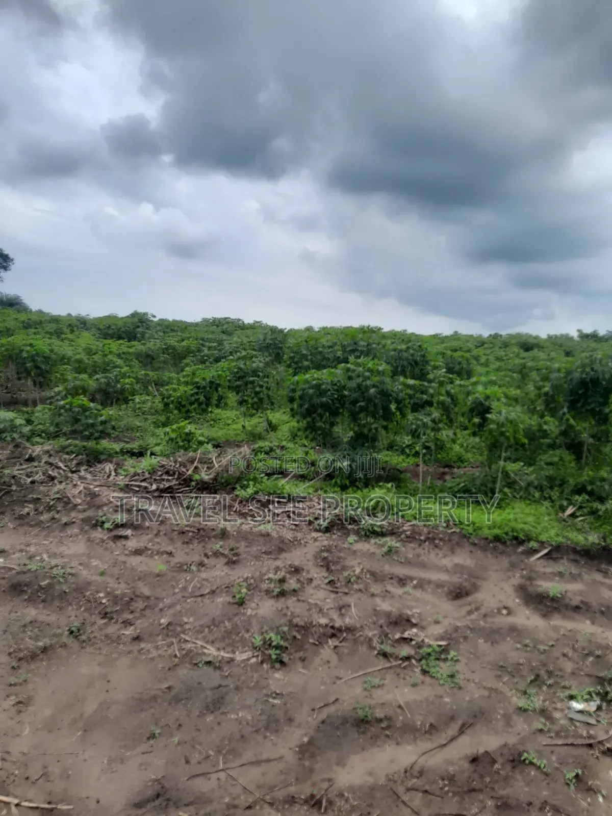 Land's Survey Epe Ijebu Ode Express Ways