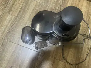 500 Ml Fruit Juicer / Fruit Extractor