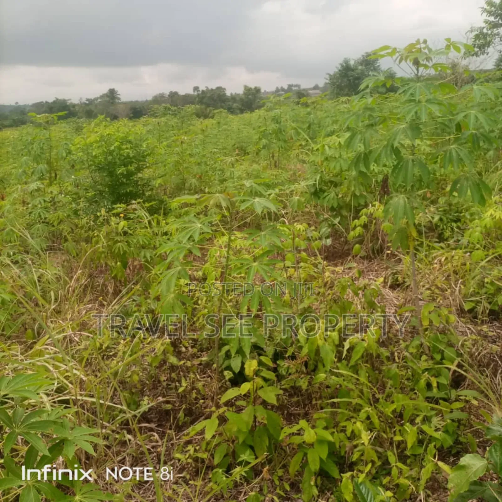 Land's Survey