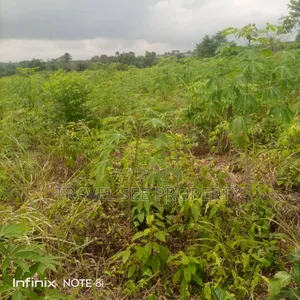 Land's Survey