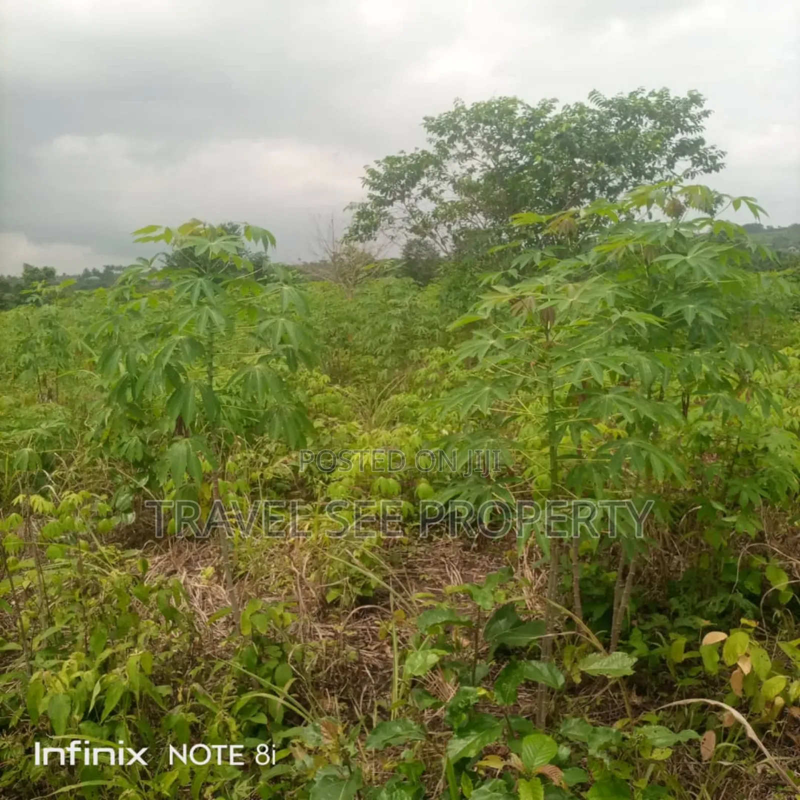 Land's Survey
