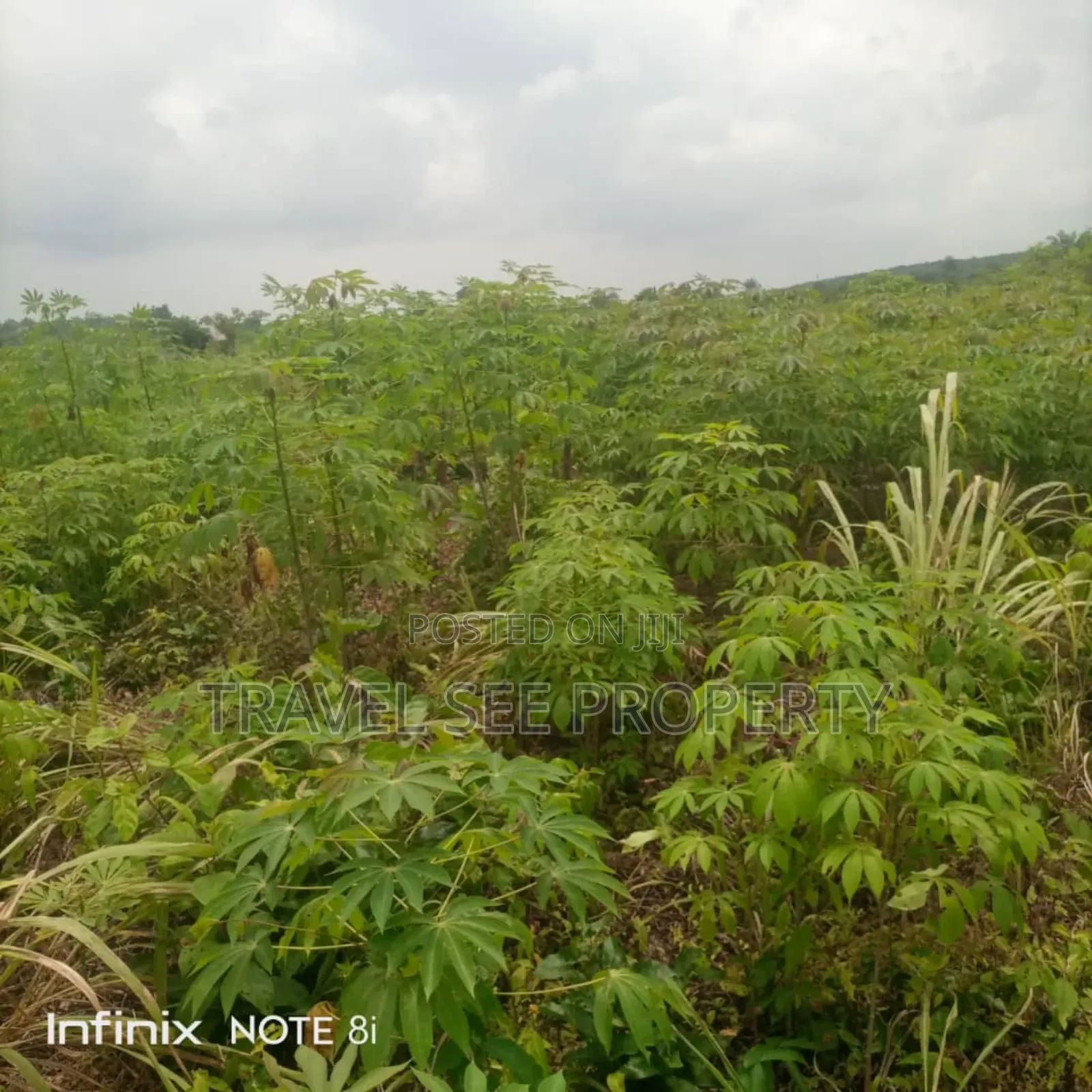 Land's Survey