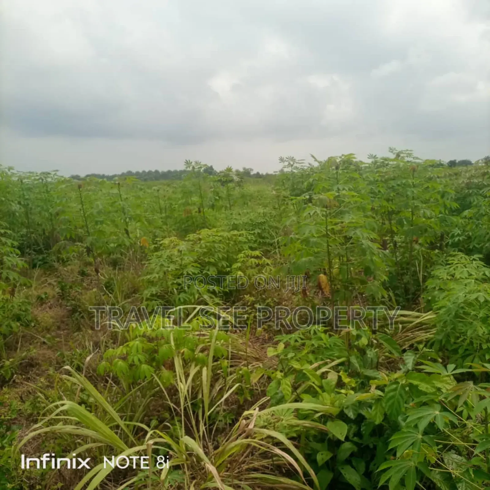 Land's Survey