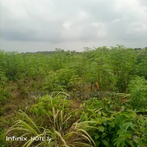 Land's Survey