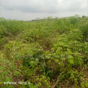 Land's Survey