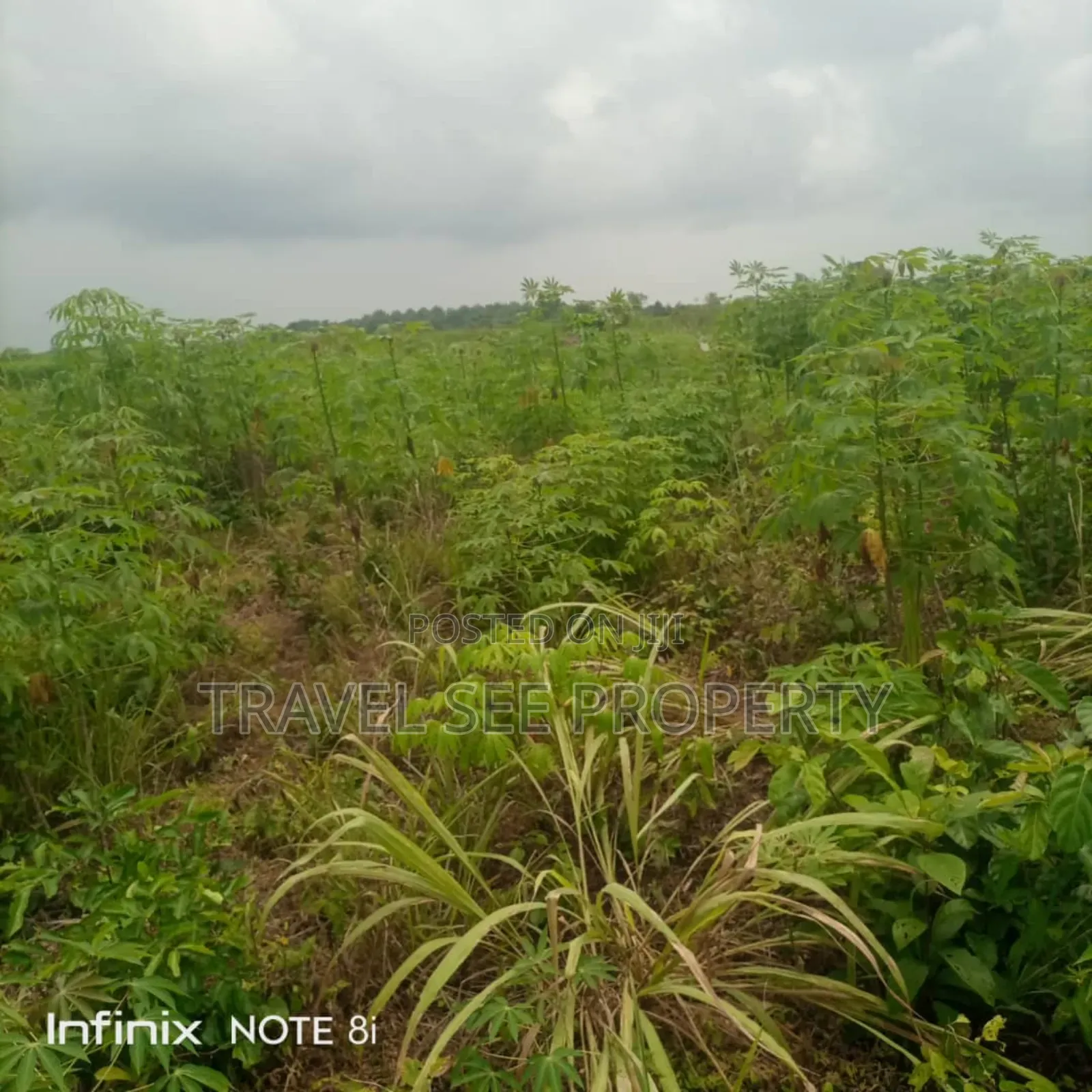 Land's Survey