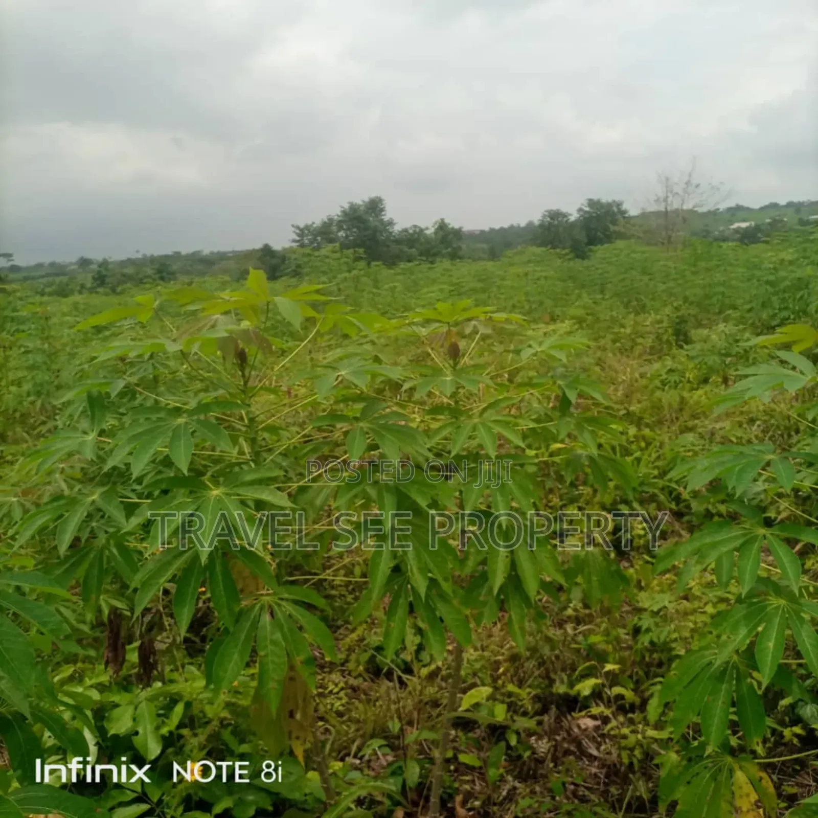 Land's Survey