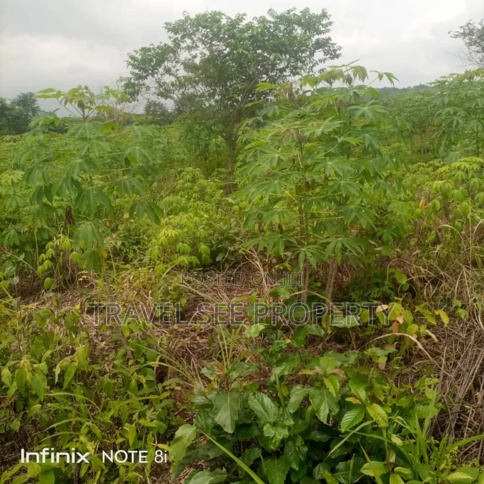 Land's Survey