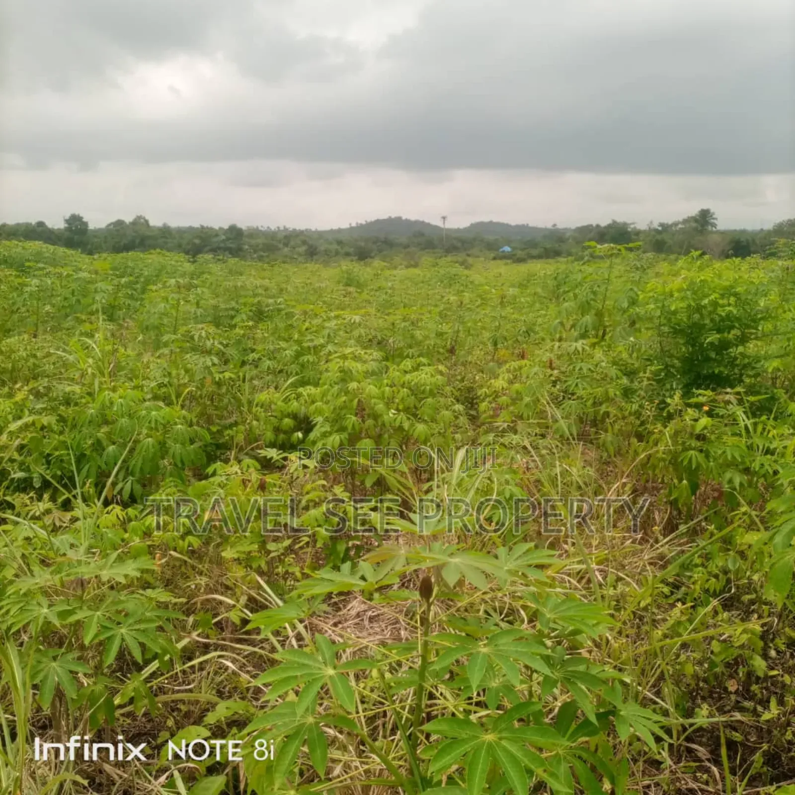 Land's Survey