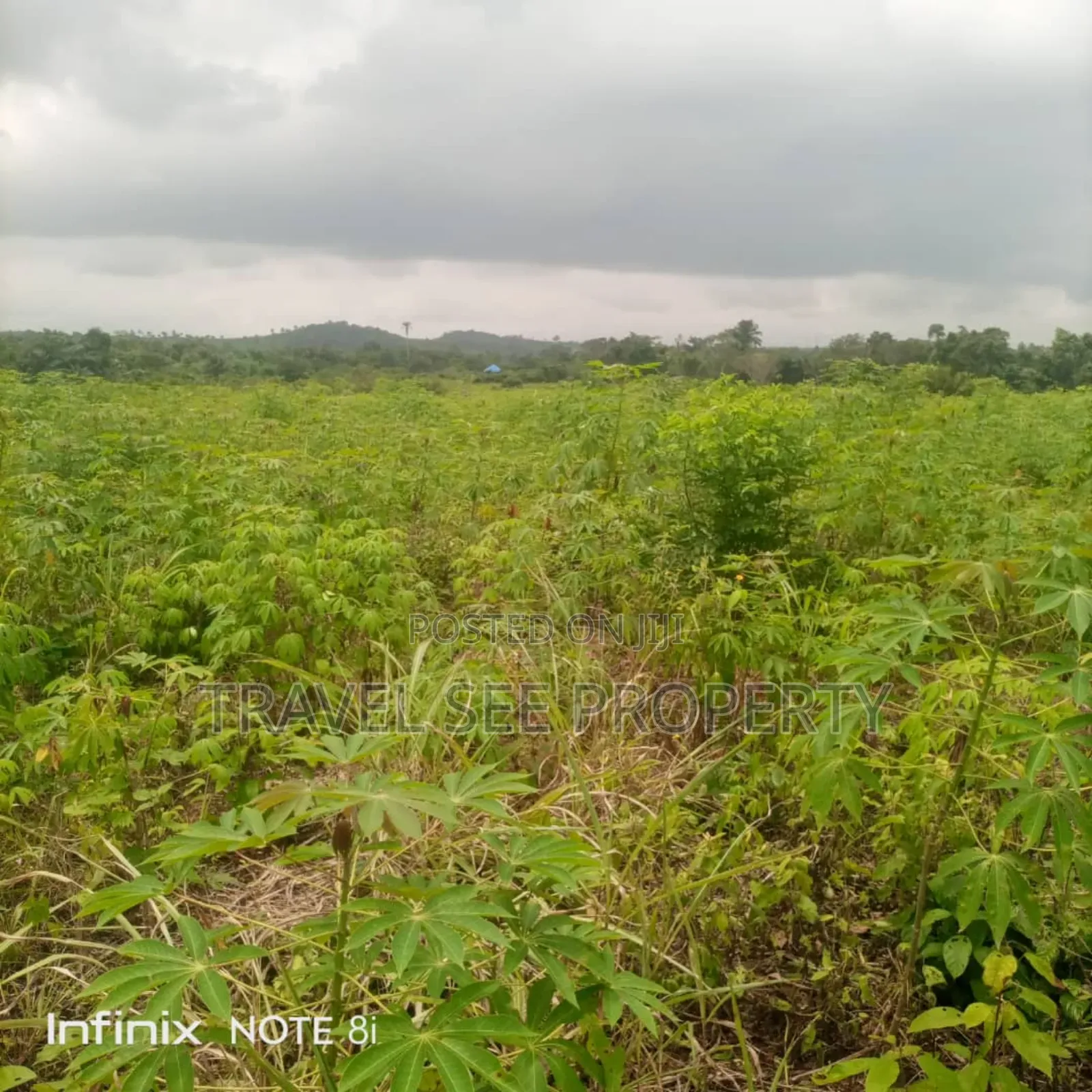 Land's Survey