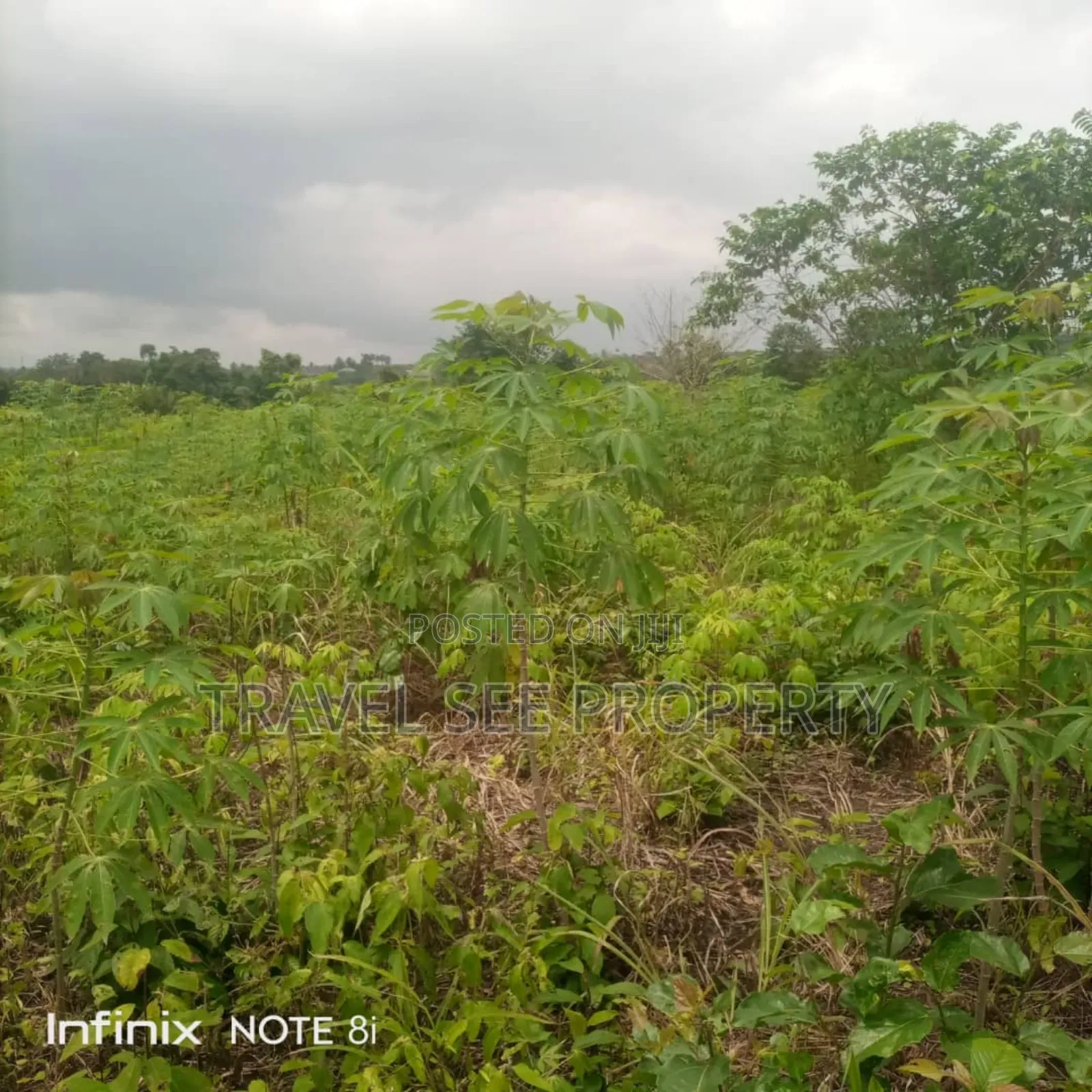 Land's Survey