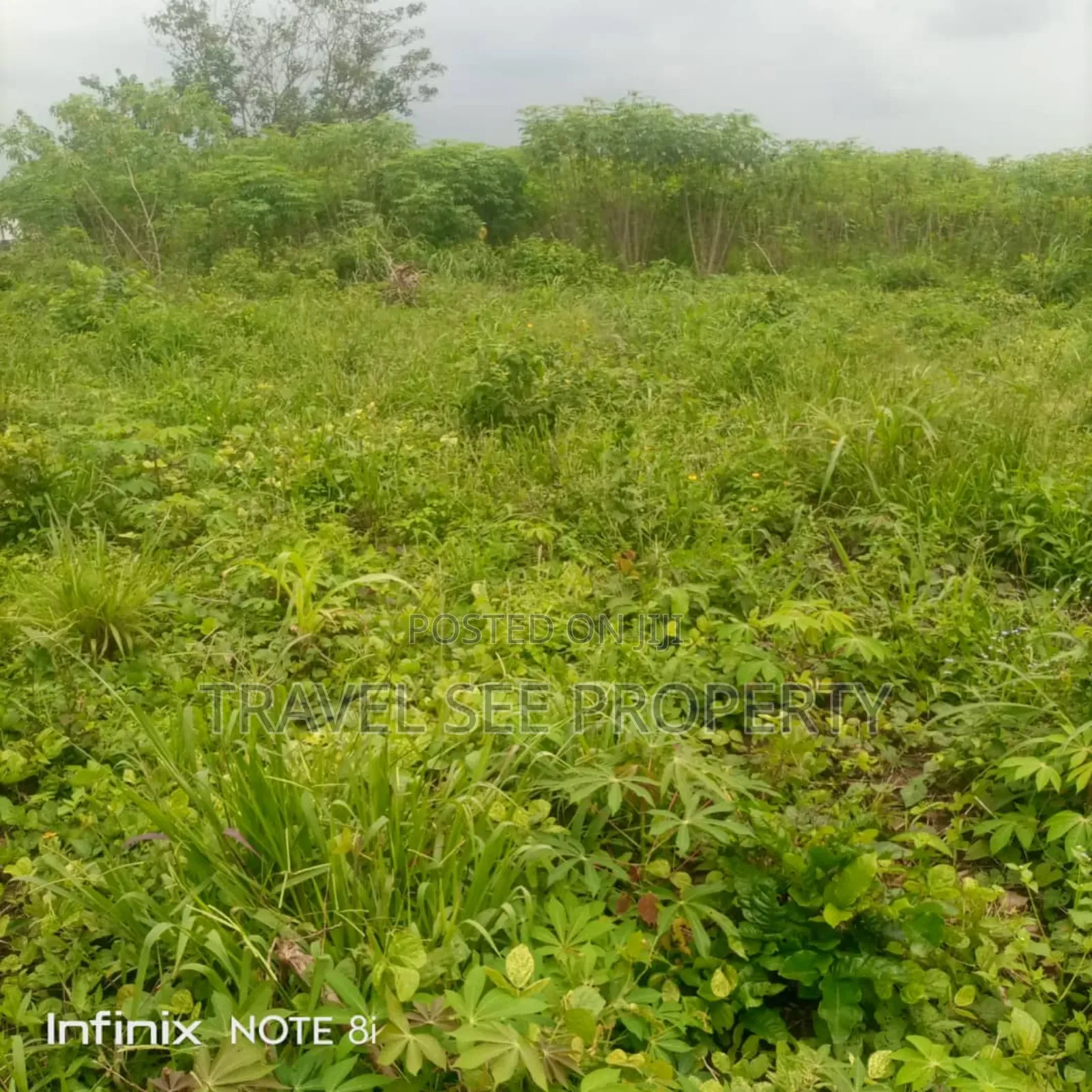 Land's Survey