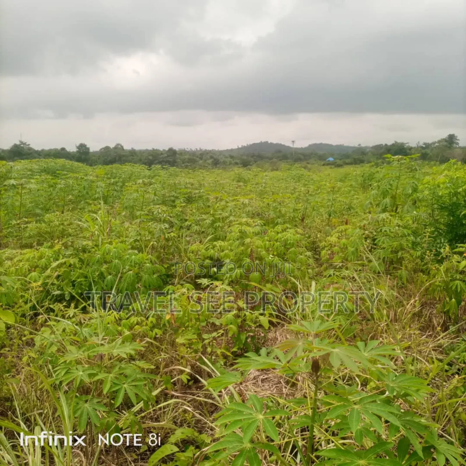 Land's Survey