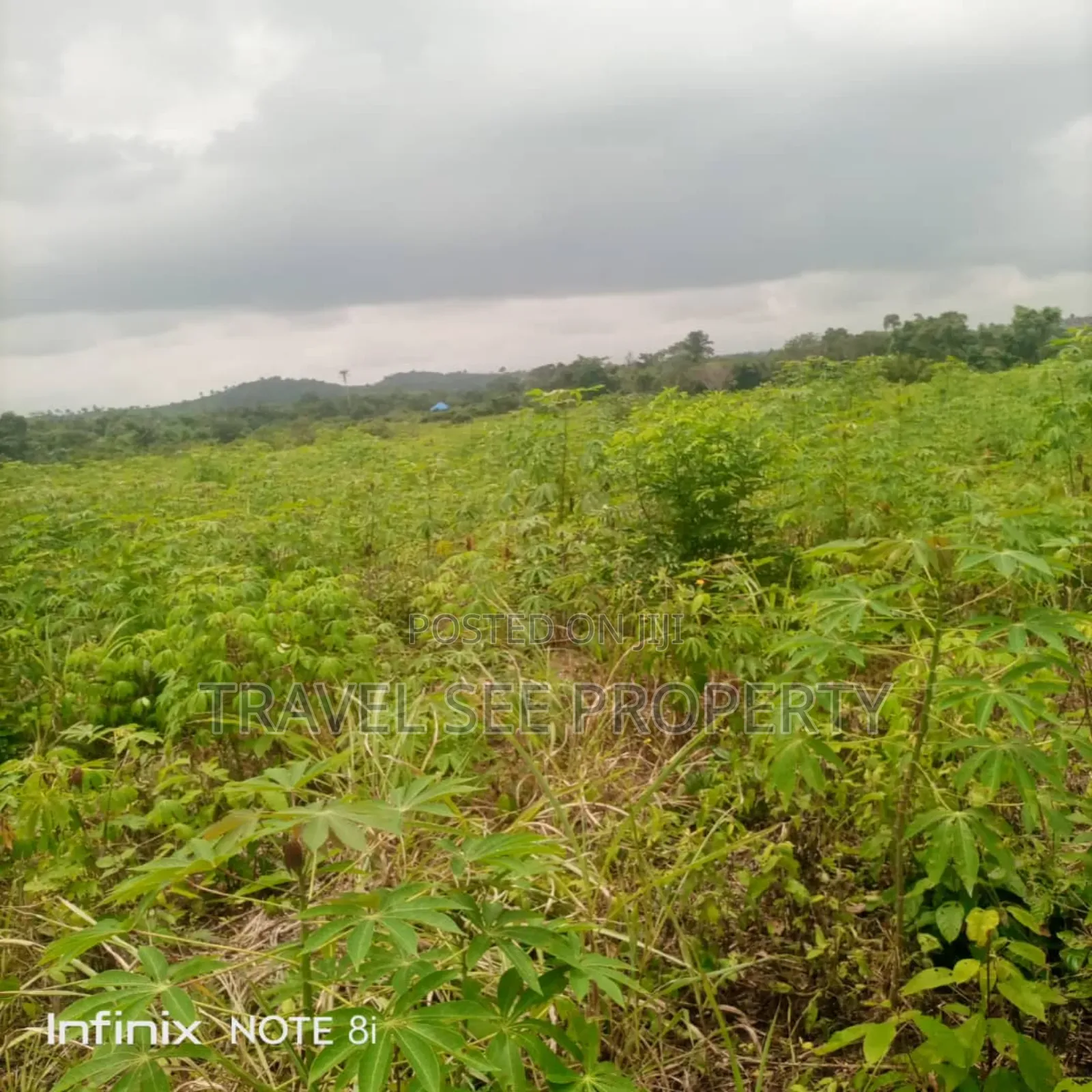 Land's Survey