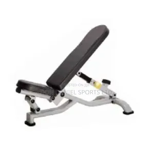 Commercial Adjustable Bench