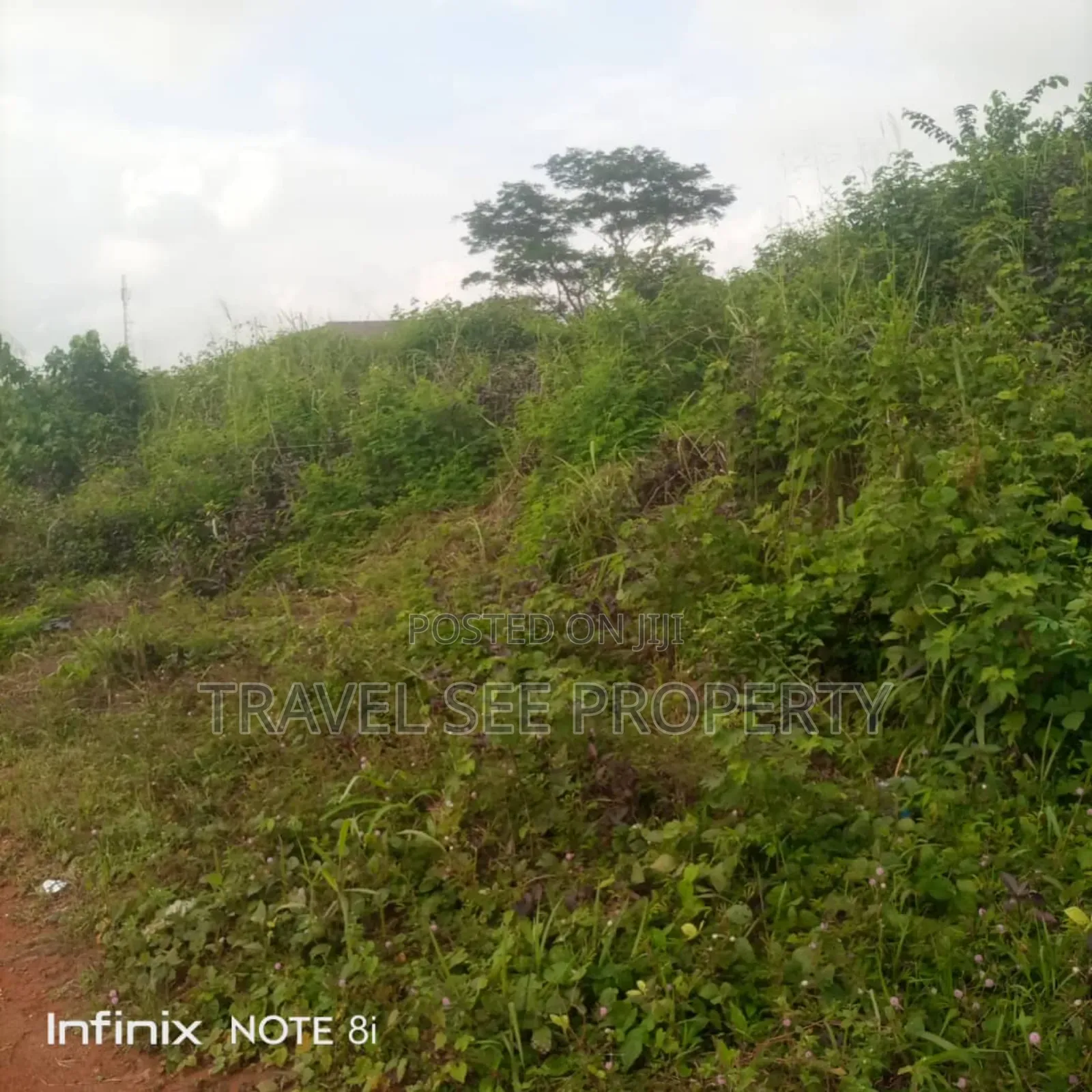Land's Survey Opp Nig Beware PLC 4 Plot