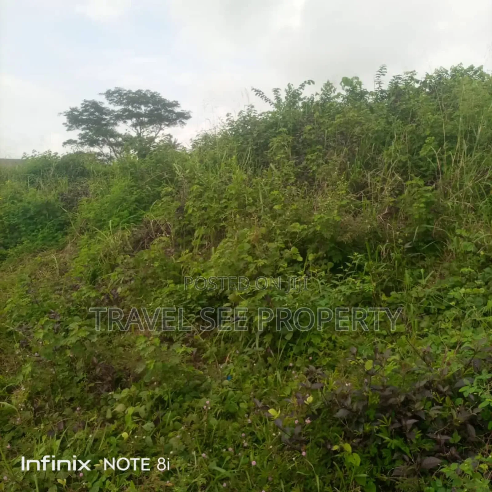 Land's Survey Opp Nig Beware PLC 4 Plot