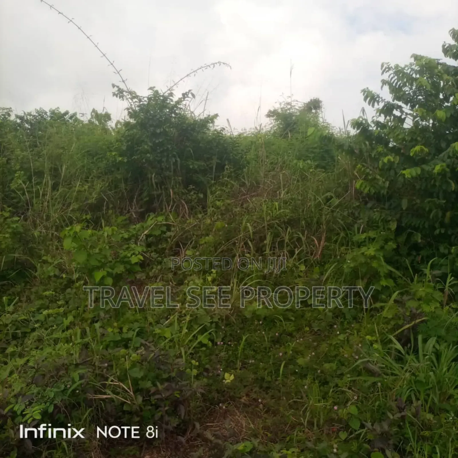 Land's Survey Opp Nig Beware PLC 4 Plot