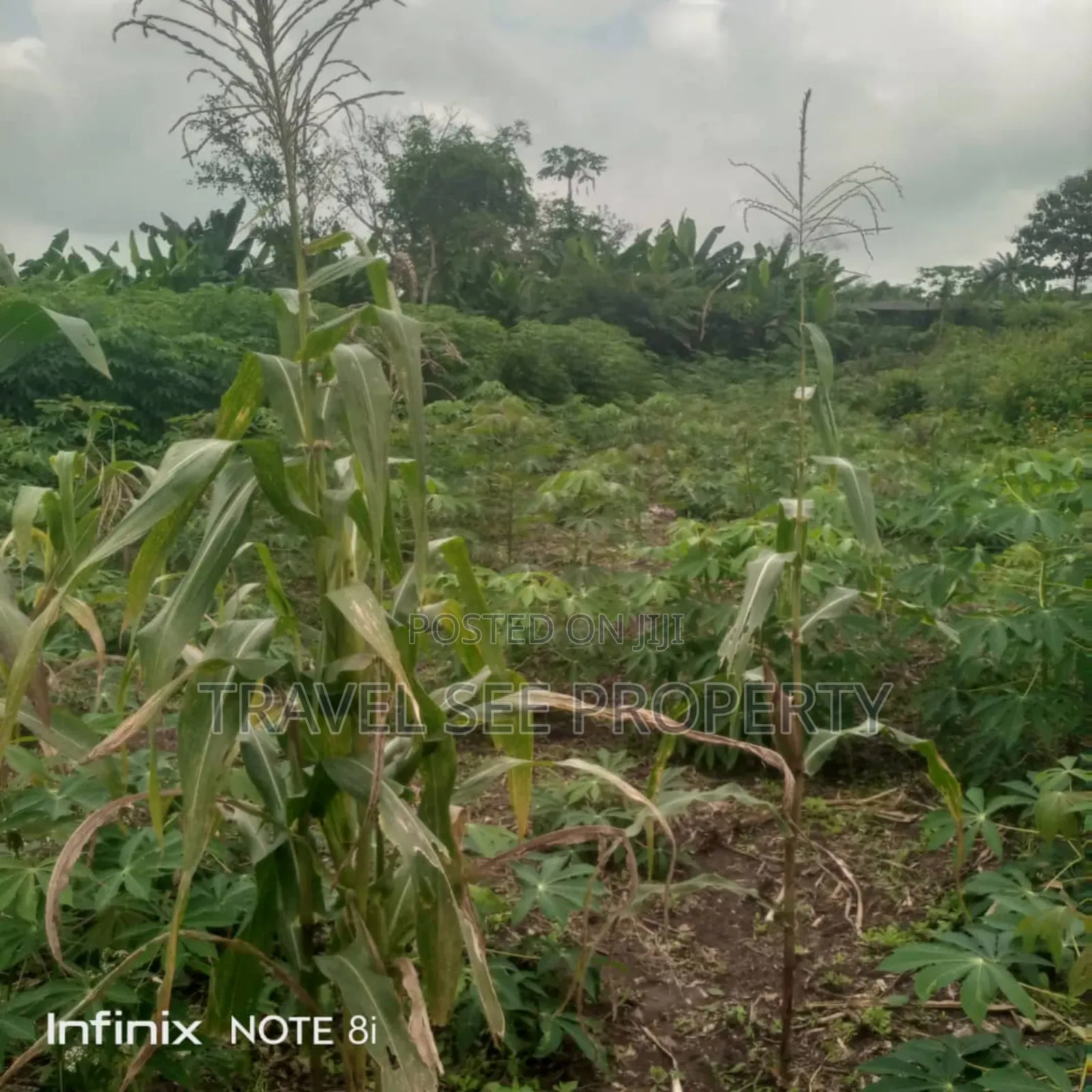 Survey Plan 300 Plots Epe Ijebu Ode