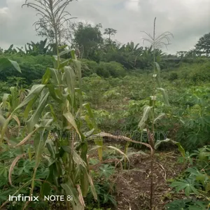 Survey Plan 300 Plots Epe Ijebu Ode