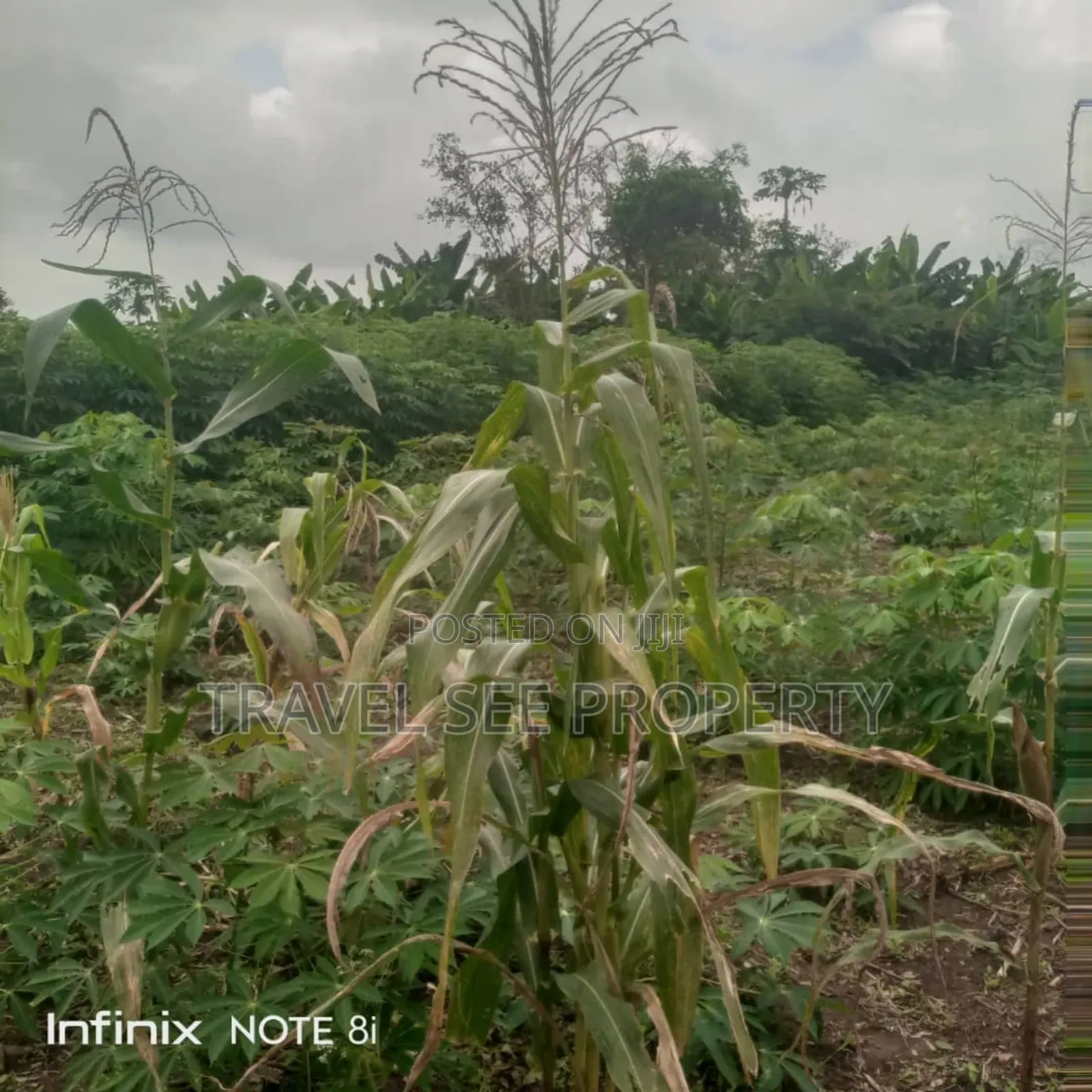 Survey Plan 300 Plots Epe Ijebu Ode