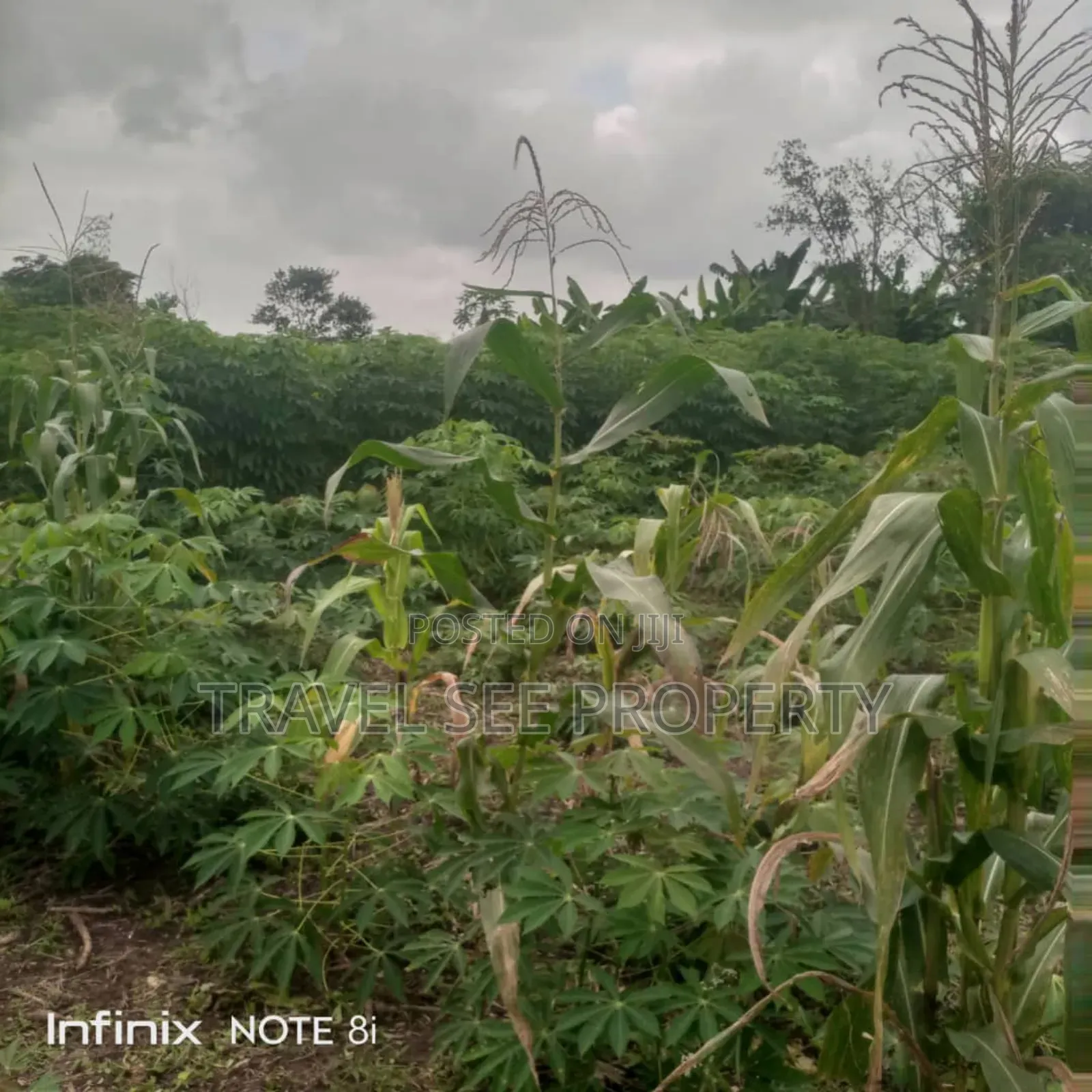 Survey Plan 300 Plots Epe Ijebu Ode