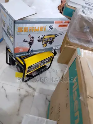 Efficient Engine Senwei Sv62000e2 Generator