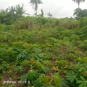 Gazetted Land's Survey Swaps With Vehicle