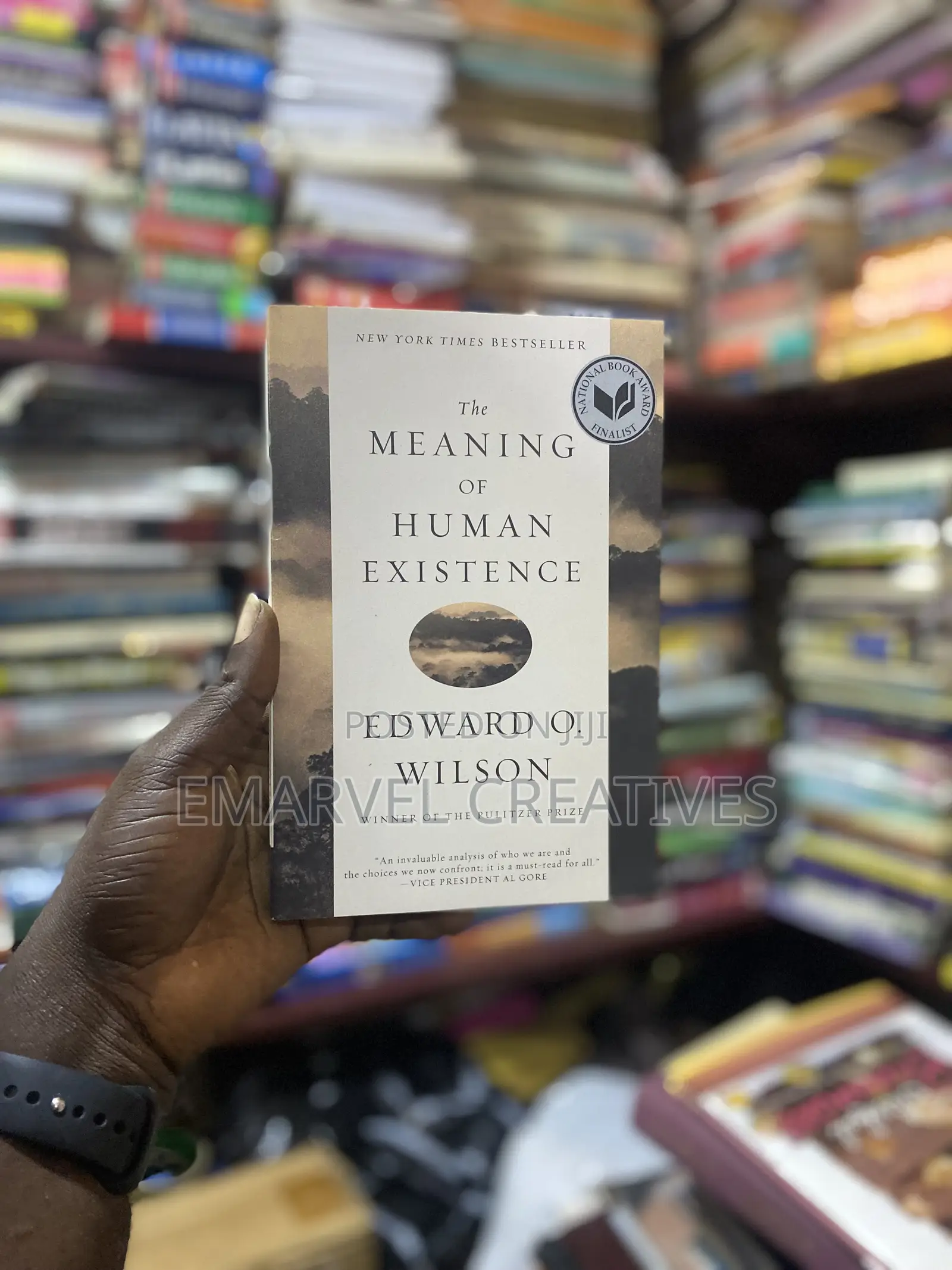 The Meaning of Human Existence