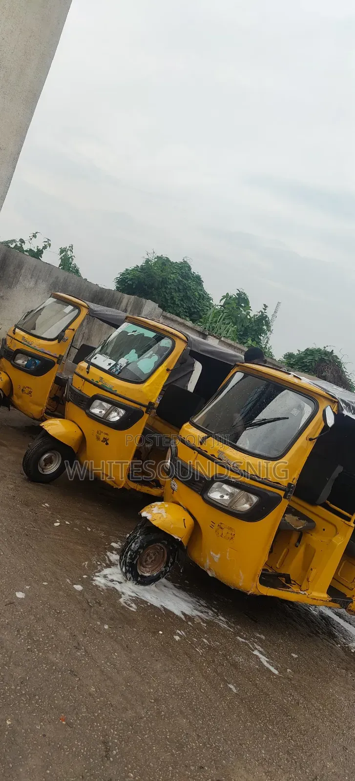 TVS 2022 Yellow