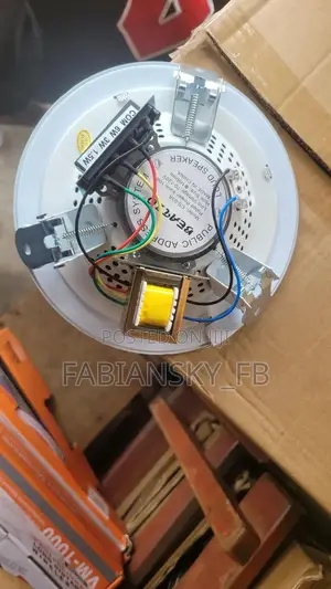 Original Ceiling Speaker 10watt, Beatzo Product