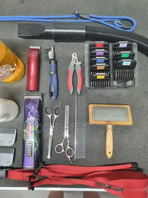 Professional Pet Grooming Services