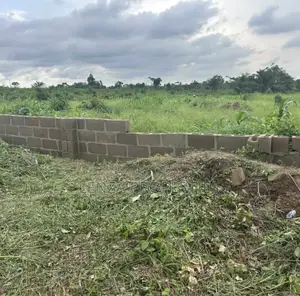 Registered Survey, Deed of Assignment, Cofo in View