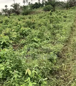 Affordable Lands for Sale at Utesi