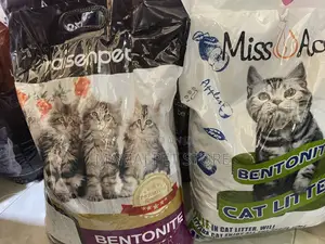 Cat Litter Sand