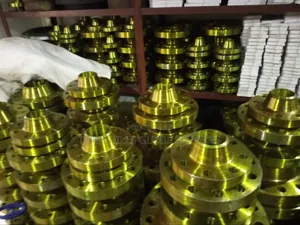 Weld Neck Steel Flanges A105n Rf and RTJ