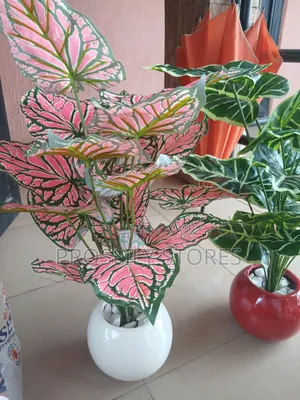 Flower Decor With Pots 70cm