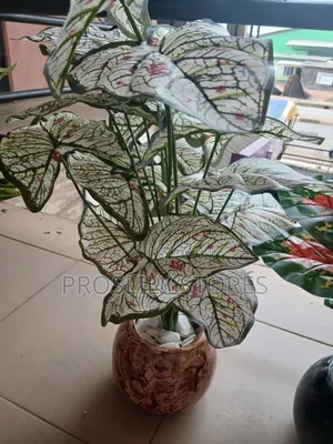 Flower Decor With Pots 70cm