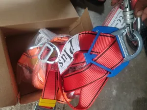 Fall Arrest Harness System With Scaffolding Hooks