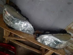 C300 2010 Headlight Set