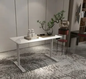 Home/Office Standing Desk (Dual Motor).