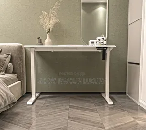 Home/Office Electric Standing Desk.