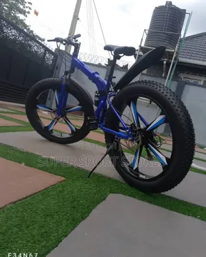 Fat Tyre Bicycle