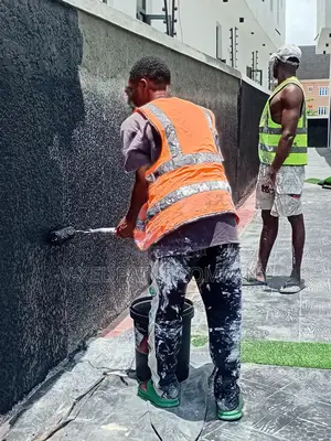 Professional House Painter/ Screeder