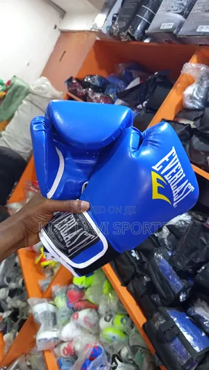 Everlast Boxing Gloves