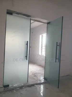 Frosted Glass Door
