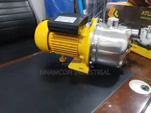 1hp Atlantah Surface Water Pump