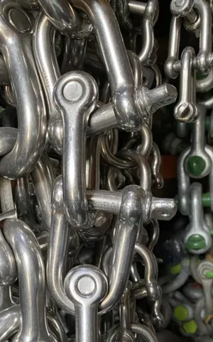 16mm 5/8 Stainless Shackle