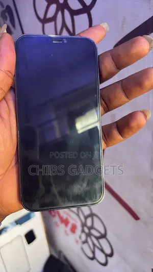 Apple iPhone 12 Pro 128 GB Gray
