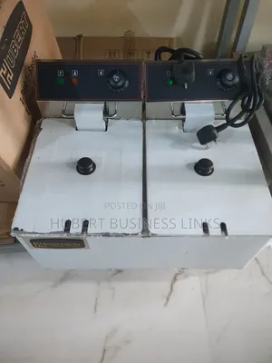 Industrial Electric Fryer